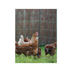 Nevodivá síť pro drůbež KERBL 292418 PREMIUM, 106 cm x 50 m / 2 hroty