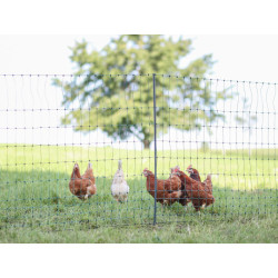 Nevodivá síť pro drůbež KERBL 292418 PREMIUM, 106 cm x 50 m / 2 hroty