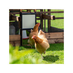 Komplet automatického otevírání kurníku Chicken Guard Pro 25x30 s časovačem a světelným senzorem