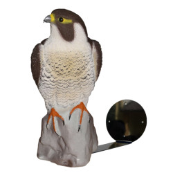 SADA FIX SOKOL - KOTVENÍ DO ZDI