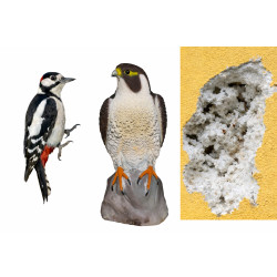 SADA FIX SOKOL - KOTVENÍ DO ZDI