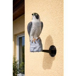 SADA FIX SOKOL - KOTVENÍ DO ZDI