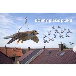 Trojrozměrná maketa dravce - poštolka 56 cm