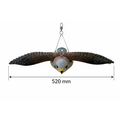 Trojrozměrná maketa dravce - poštolka 56 cm