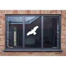 HARMONY orel - bílá silueta dravce (samolepící fólie - 500 mm)