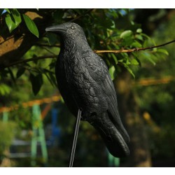 Havran plastová 3D maketa na plašení ptáků