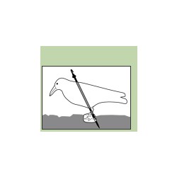 Havran plastová 3D maketa na plašení ptáků