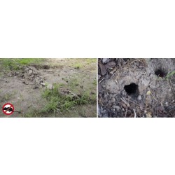 Gardigo Diamant 70035 odpuzovač krtků a dalších hrabošů - 700 m², 360 °