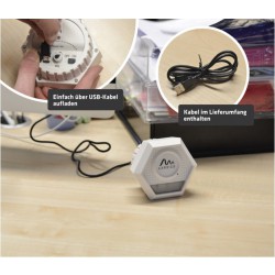 Gardigo Raccoon odpuzovač Druh funkce ultrazvuk, zábleskové světlo Rozsah působení 200 m² 1 ks