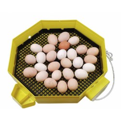 Automatická líheň na vejce CLEO 5 DTH AUTOMATIC