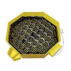 Automatická líheň na vejce CLEO 5 DTH AUTOMATIC