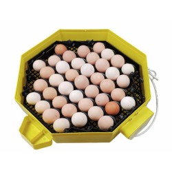 Automatická líheň na vejce CLEO 5 DTH AUTOMATIC