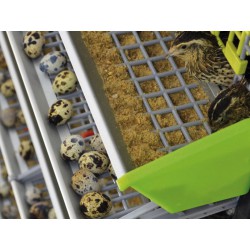 Klec pro křepelky CIMUKA BYK MIDI