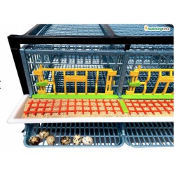 Klec pro křepelky CIMUKA BYK-03-1K