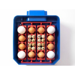 Automatická líheň na vejce BOROTTO LUMIA 16 AUTOMATIC