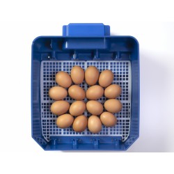 Automatická líheň na vejce BOROTTO LUMIA 16 AUTOMATIC