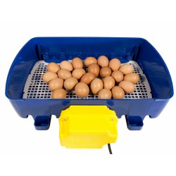 Automatická líheň na vejce BOROTTO REAL 24 AUTOMATIC