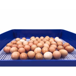 Automatická líheň na vejce BOROTTO REAL 49 AUTOMATIC