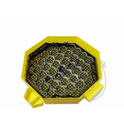 Automatická líheň na vejce CLEO 5x2 DTH AUTOMATIC