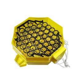 Automatická líheň na vejce CLEO 5x2 DTH AUTOMATIC