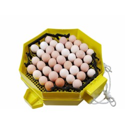 Automatická líheň na vejce CLEO 5x2 DTH AUTOMATIC