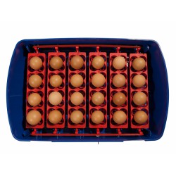 Líheň na vejce BOROTTO REAL 24