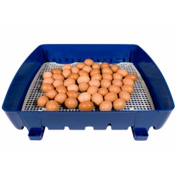 Líheň na vejce BOROTTO REAL 49