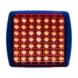 Líheň na vejce BOROTTO REAL 49