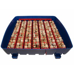 Líheň na vejce BOROTTO REAL 49