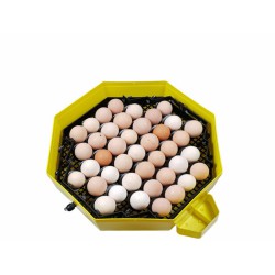 Líheň na vejce CLEO 5x2 DTH