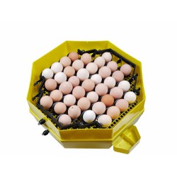 Líheň na vejce CLEO 5x2 DTH