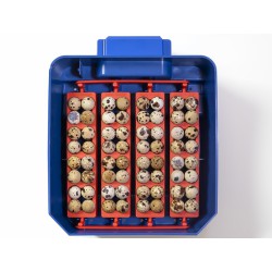 Plně automatická líheň na vejce BOROTTO LUMIA 16 EXPERT