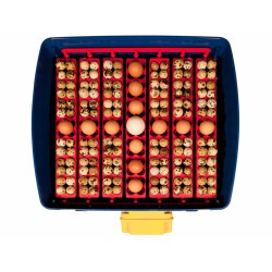 Plně automatická líheň na vejce BOROTTO REAL 49 EXPERT