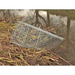 Profesionální past na kuny a kočky  TRAP H80x34x34