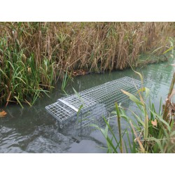 Profesionální past na kuny a kočky  TRAP H80x34x34