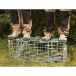 Profesionální past na kuny a kočky  TRAP H80x34x34