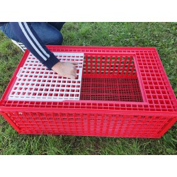 Přepravní box na živou drůbež CRATE MOD B2 - 95,5x57x32,5cm