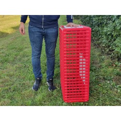Přepravní box na živou drůbež CRATE MOD B2 - 95,5x57x32,5cm