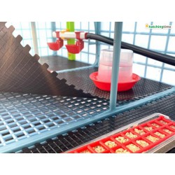 Přídavná odchovna drůbeže CIMUKA CB40-03-TA