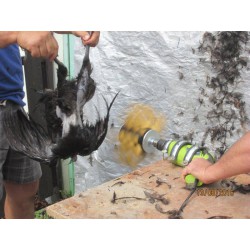 Škubačka drůbeže na vrtačku JOSAS JO24