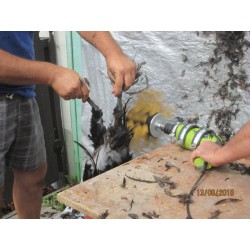 Škubačka drůbeže na vrtačku JOSAS JO24