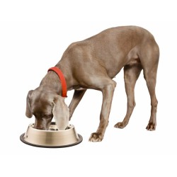 Vyhřívaná miska pro psy a kočky THERMODOG 3113202 1,8l