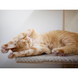 Škrabadlo pro kočky KERBL TIMBER - kočičí strom na zeď 150 cm