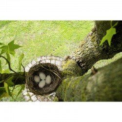 Gardigo zábrana proti kočkám, kunám, veverkám - 1 kus