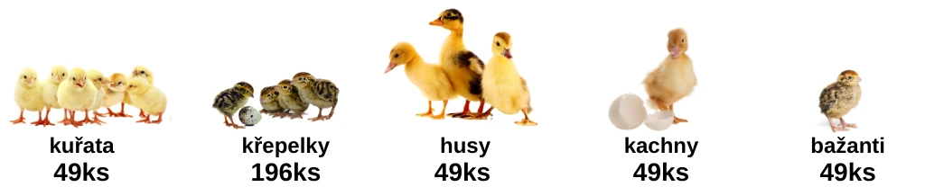 Kapacita_líhně_COVINA_ET49_AUTOMATIC