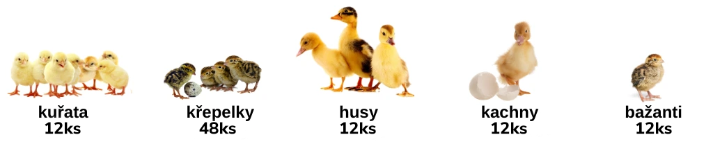 Kapacita_líhně_RIVER_SYSTEMS_ET_12_SEMI-AUTOMATIC