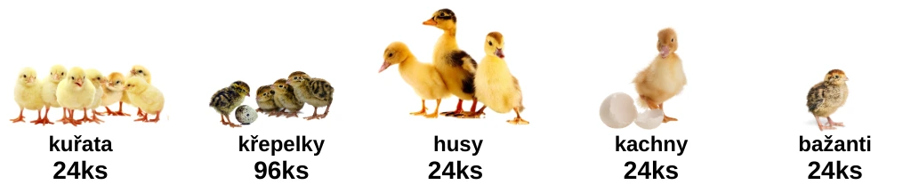 Kapacita_líhně_RIVER_SYSTEMS_ET_24