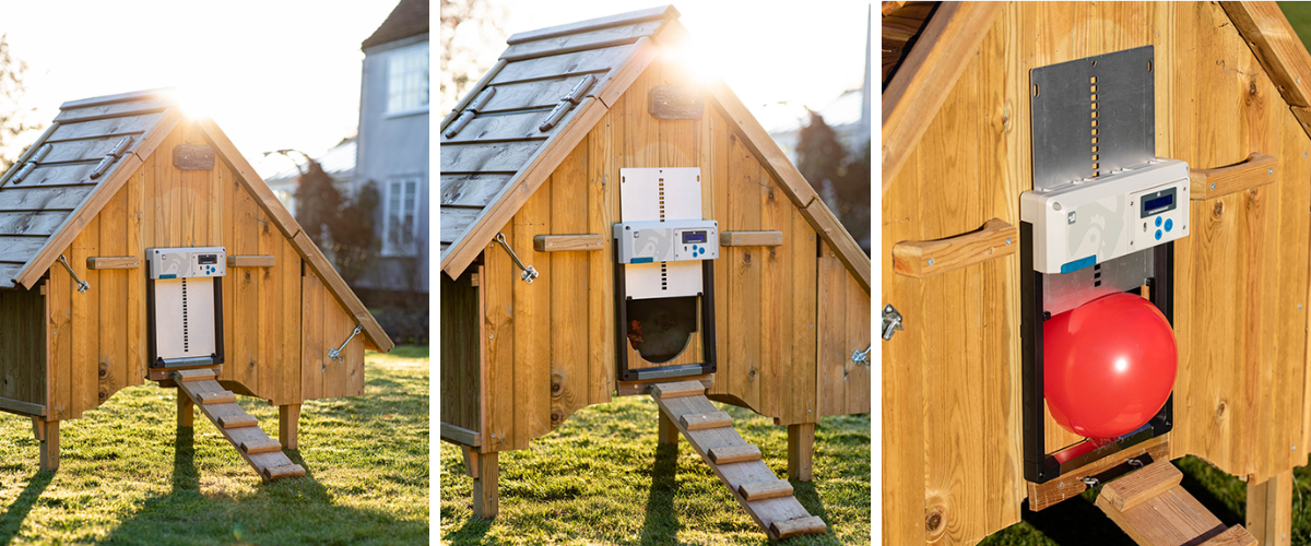 Komplet-automatickeho-otevirani-a-zavirani-kurniku-chicken-guard-all-in-one-dvirka