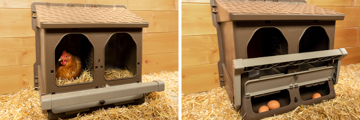 Snaskove-hnizdo-pro-slepice-se-sbernym-kosikem-na-vejce-kerbl-73146-dvoumistne-o2