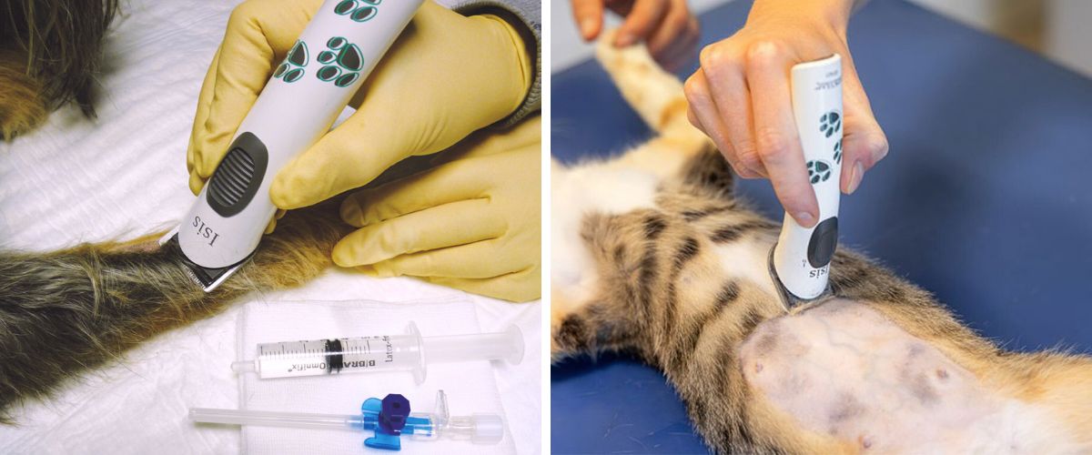 aesculap-isis-gt421-text-1